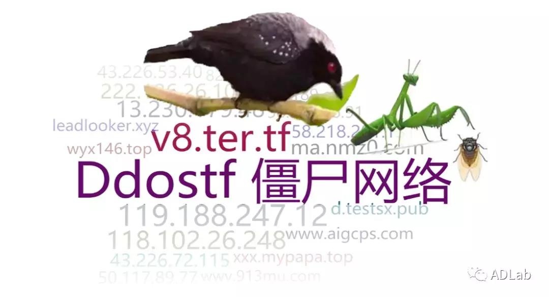 ɳ��(�й�)��վ���޹�˾����