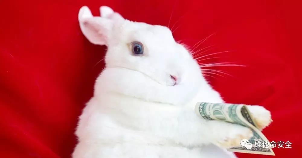 ɳ��(�й�)��վ���޹�˾����